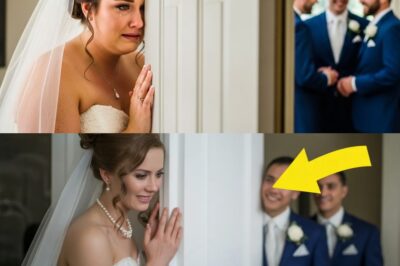 “Buddy, are you sure? She’s pretty big,” whispered Marquez to Kevin through the half-open door of the sacristy.