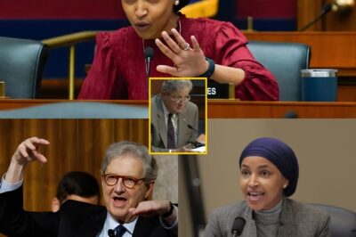 Washington Shaken After the Moment Senator Kennedy Reached the Final Folder and Revealed Hidden Details About Ilhan Omar — The Revelation That Sent Shockwaves Through Capitol Hill — But the Most Unexpected Twist Came in the Final Seconds — What Happened Next Left Reporters Absolutely Speechless!