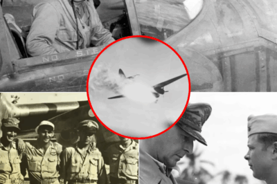 How a Farm Boy’s “Impossible” Trick Made Him Destroy 40 Japanese Planes… All Alone