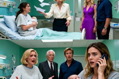 Not Knowing She’s a Secret Billionaire!: She Just Gave Birth — Her In-Laws Handed Her Divorce Papers