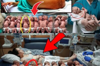 SHOCK: Mother Gives Birth to 10 Babies and Doctors Realize One of Them Isn’t a Baby! Biggest Shock!