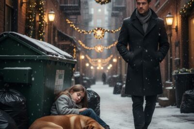 Please don’t take my dog. He’s all I have. I’m not here to take him. Single dad CEO found a little girl and her dog sleeping on trash on Christmas Eve. The truth left him stunned.