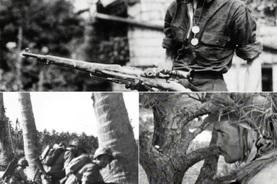 They Laughed at His Rifle… And He Responded by Taking Down 11 Snipers in 4 Days.